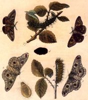 ACI50292.JPG