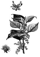 ACI50271.JPG