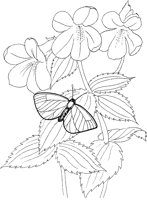 ACI50157.TIF