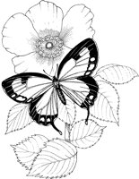 ACI50154.TIF