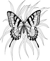 ACI50146.TIF