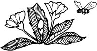 ACI50133.TIF