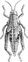 ACI50107.TIF
