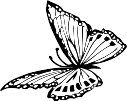 ACI00018.WMF