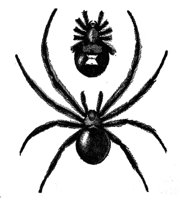 ACH50236.JPG