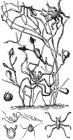 ACH50212.JPG