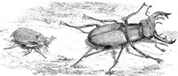 ACH50200.JPG