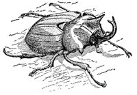 ACH50193.JPG