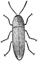 ACH50192.JPG