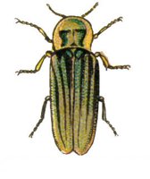 ACH50174.JPG