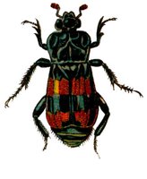ACH50173.JPG