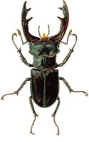ACH50169.JPG