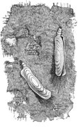 ACH50166.JPG