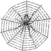 ACH50139.TIF