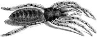 ACH50103.TIF