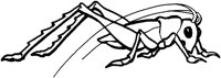 ACH50020.TIF