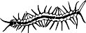ACH00011.WMF