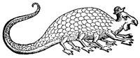 ACQ50026.JPG