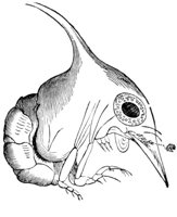 ACQ50024.JPG