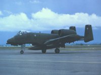 ACN50046.JPG