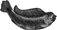 ACL50169.TIF