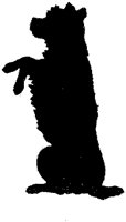 ADD50057.TIF
