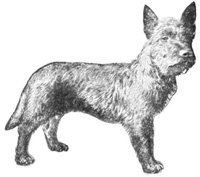 ACX50172.JPG