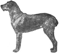 ACW50227.JPG