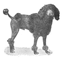 ACW50226.JPG