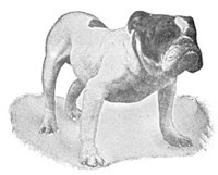 ACW50225.JPG