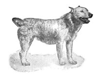 ACW50224.JPG