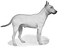 ACW50223.JPG