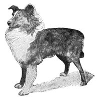 ACW50222.JPG