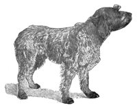 ACW50221.JPG