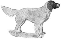 ACW50220.JPG