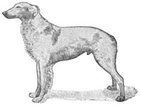 ACW50219.JPG