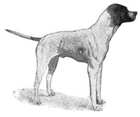 ACW50218.JPG