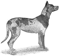 ACW50217.JPG