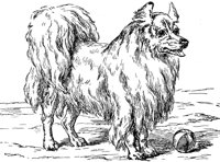ACW50216.JPG