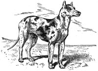 ACW50213.JPG