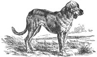 ACW50211.JPG