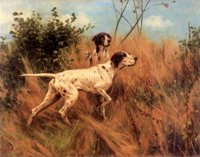 ACW50166.JPG