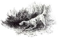 ACW50115.JPG