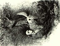 ACW50114.JPG