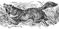 ACW50109.JPG