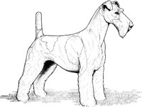 ACW50072.TIF