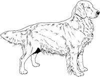 ACW50022.TIF
