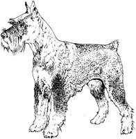 ACW50021.TIF