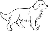ACW50015.TIF