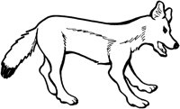 ACW50014.TIF